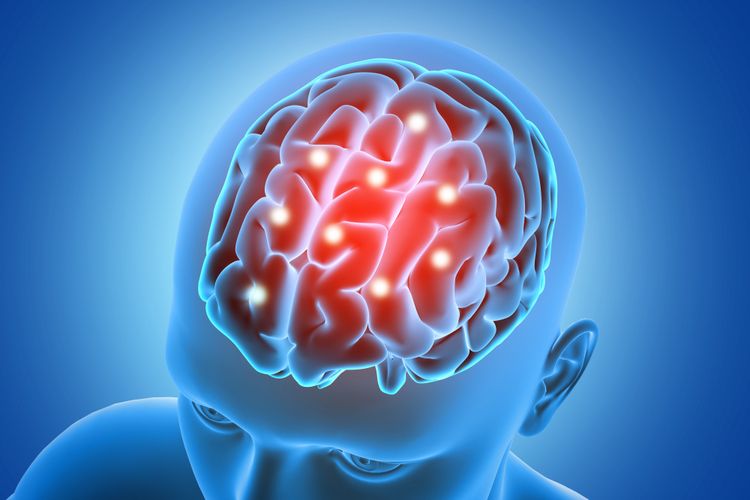 Ilustrasi otak. Negara dengan Rata-rata IQ Tertinggi di Dunia, Indonesia Nomor Berapa?