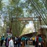 Mengenal Keunggulan Bambu Ngada, Tema Utama Festival Wolobobo 2022