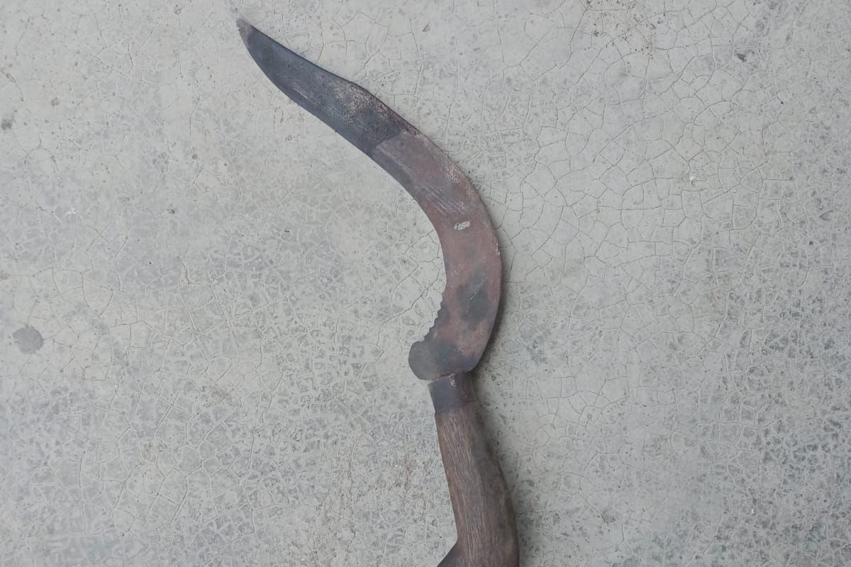 Penampakan pisau yang digunakan Adek Batak dan anaknya AA, untuk menikam Satpam PT CAS di Serdang Bedagai, Sumatera Utara pada Rabu (26/6/2024)