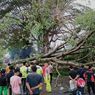Pohon Tumbang di Jalur Utama Malang-Blitar, Lalu Lintas Sempat Lumpuh 2 Jam