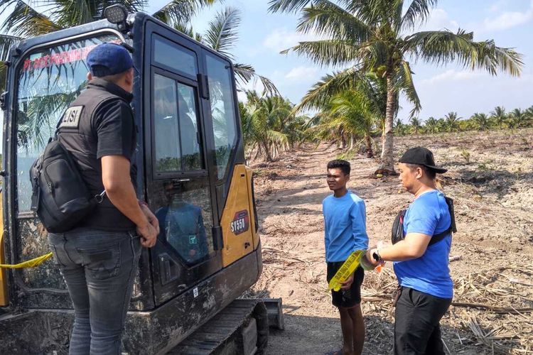 Hutan Lindung Dibuka untuk Tanam Sawit dan Kelapa, 4 Orang di Banyuasin Ditangkap Polisi