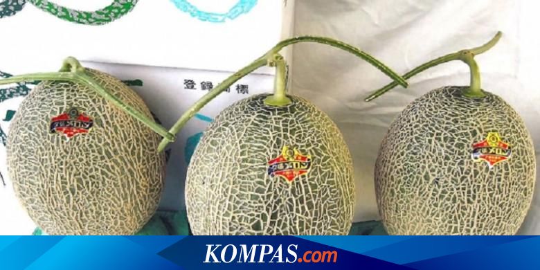 Kenapa Harga Melon di Jepang Mahal?