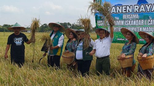 Hadiri Panen Raya di Madiun, Cak Imin: Kita Semua Saksikan Masalah Petani Diabaikan