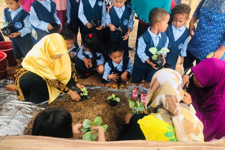 Siswa TK belajar berkebun di Cahaya Hydrofarm Banyuwangi