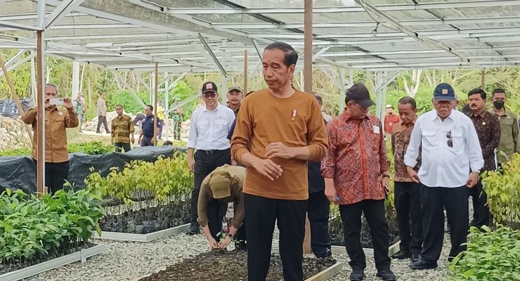 Menteri LHK Usul Ada Kebun Binatang di IKN, Jokowi: Paling Penting Bisa Proteksi Orangutan