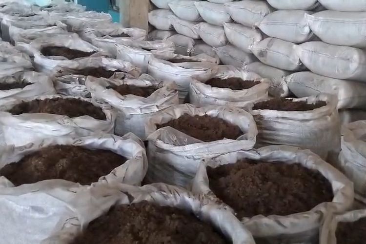 Tiga Juta Ton Limbah Batu Bara Akan Digunakan Untuk Pupuk, Jadi Ketahanan Pangan Nasional