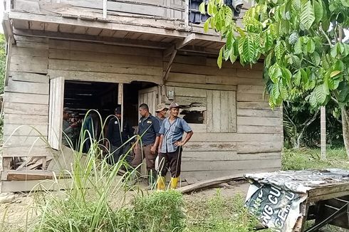 4 Gubuk dan 8 Hektare Kebun di Aceh Dirusak Gajah Liar