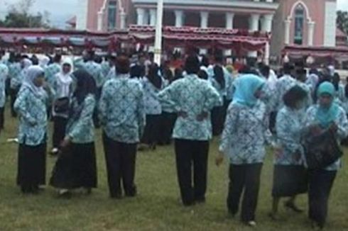 Seleksi CPNS di Bangka Belitung Dibuka, Butuh Guru, Dokter dan Perawat