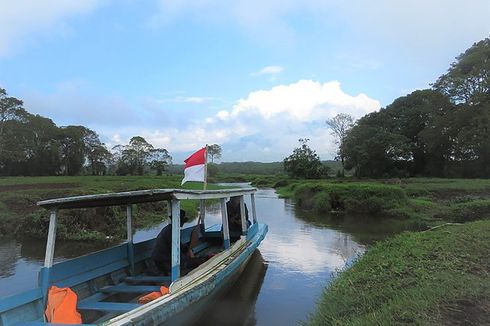 Rawa Bento di TN Kerinci Seblat, Disebut Mirip Sungai Amazon