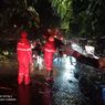 2 Pohon di Jakarta Barat Tumbang Diterpa Hujan Deras Diserta Angin