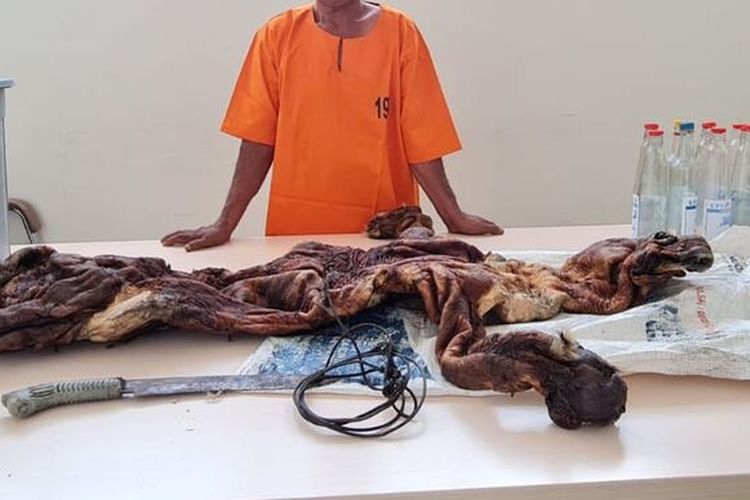 Pelaku penjual kulit harimau sumatera berinisial BAT (58) ditangkap Direktorat Reserse Kriminal Khusus (Ditreskrimsus) Polda Riau bersama Balai Besar Konservasi Sumber Daya Alam (BBKSDA) Riau.