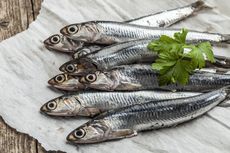 Pilihan Ikan untuk Menurunkan Kolesterol Tinggi, Bantu Cegah Serangan Jantung