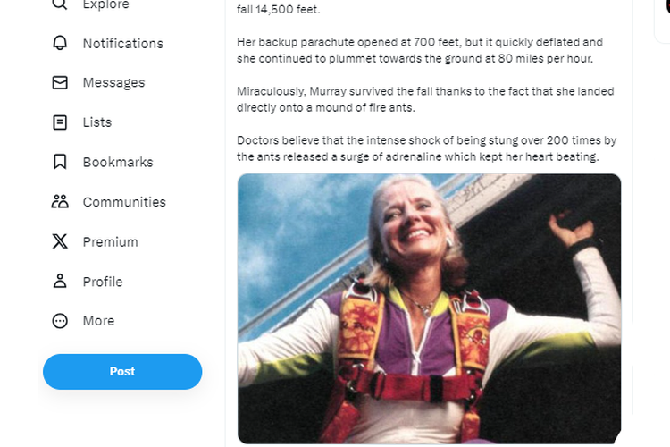 Tangkapan layar twit soal Joan Murray, penerjun payung Amerika Serikat yang selamat usai jatuh dari ketinggian 4.400 meter di atas permukaan laut.