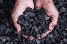 CUAN Mulai Kembangkan "Coking Coal," Apa Itu?