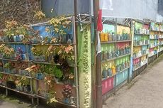 PSIM Yogyakarta Vs Bhayangkara FC, Jean-Paul Van Gastel Ungkap Kekuatan Lawan