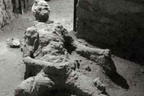 Letusan Besar Vesuvius Tak Binasakan Seluruh Kehidupan Pompeii