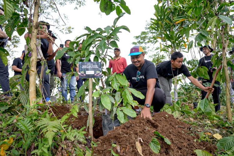 Perusahaan teknologi finansial Amartha tanam 2000 Pohon di hutan Bali Barat