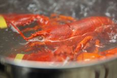 Pakar IPB Paparkan Fakta Kandungan Darah Lobster