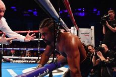 David Haye Gantung Sarung Tinju