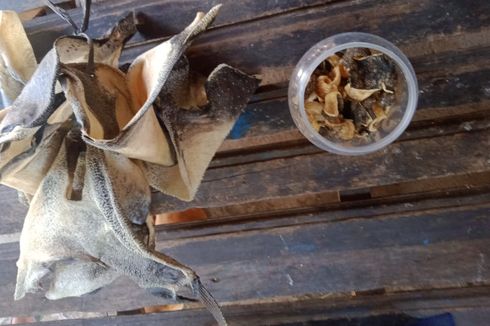 Muntah dan Lemas, Satu Anak Meninggal Usai Makan Kerupuk Ikan Buntal Hasil Pancingan, Ini Ceritanya