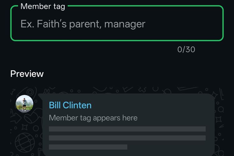 Ilustrasi menambahkan julukan lewat fitur Member Tag di group chat WhatsApp/