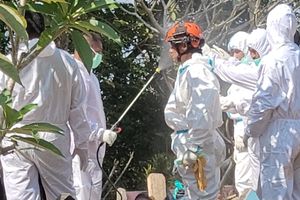 Pembongkaran Makam Sutrimo di Banyumas Selesai, Pengacara Keluarga Ungkap Kondisi Jenazah