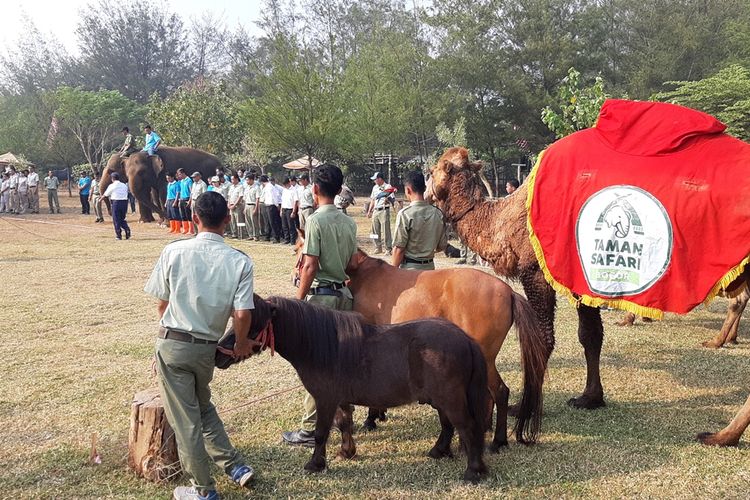 Suasana upacara bendera di Taman Safari Batang Dholpin Center memperingati HUT ke 74 RI di Batang Jawa Tengah.