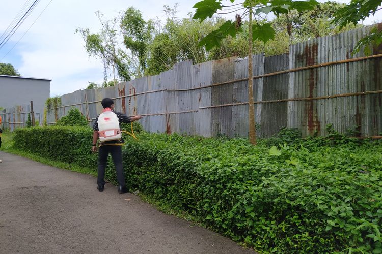 Petugas melakukan penyemportan di pembatas rumah warga dengan kebun untuk melindungi dari serangan ulat bulu hitam