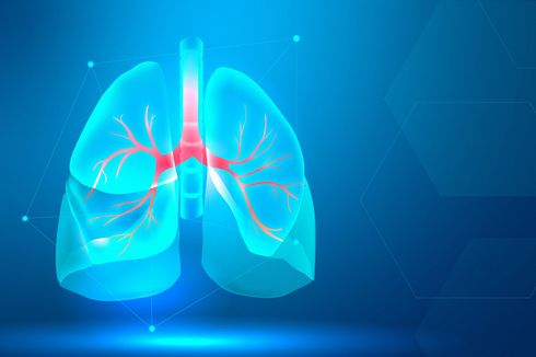 Bisakah Manusia Hidup dengan Satu Paru-paru?