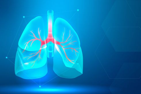 3 Cara Memulihkan Kesehatan Paru Setelah Sembuh dari Covid-19