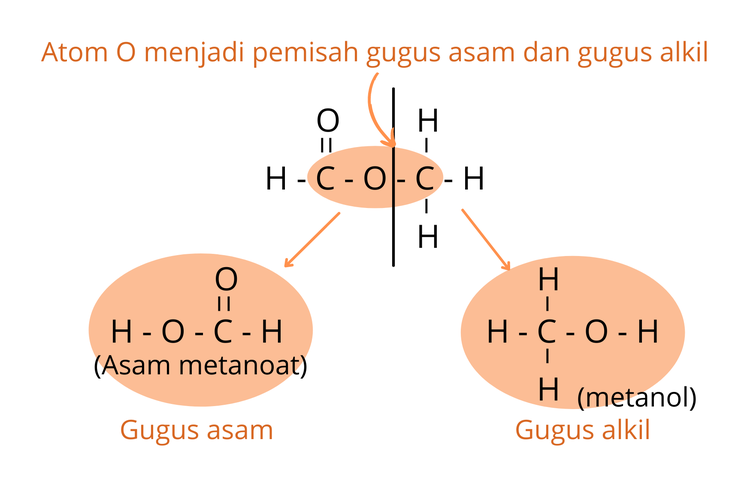 Identifikasi gugus pembentuk senyawa ester