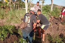 Garap Sawah, 2 Lansia di Bantul Tersengat Tawon hingga Seluruh Tubuh