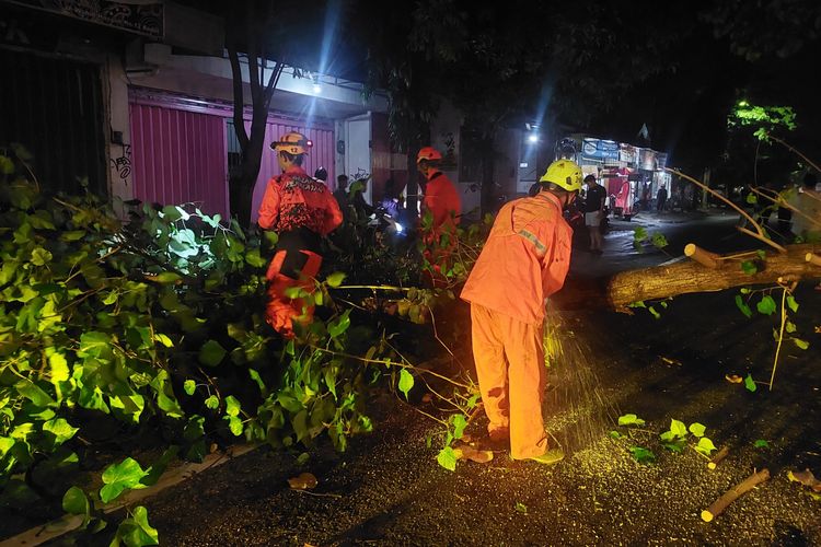 Petugas BPBD Kota Kediri, Jawa Timur, saat mengevakuasi dahan yang tumbang akibat tersangkut truk di Jalan KH.Wachid Hasyim, Bandar Kidul, Jumat (7/2/2025).