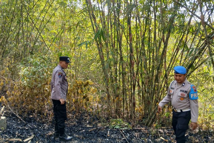 Api Lahap 1 Hektare Lahan Bambu di Kebumen, Berjarak 500 Meter dari Permukiman Warga