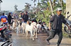 More People Flee after Eruption of Indonesia's Mount Semeru