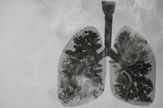 5 Perbedaan Paru-paru Perokok dan Bukan Perokok 