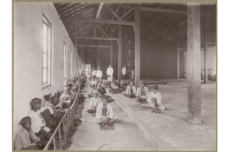 Foto pekerja di gudang penyortiran perusahaan tembakau Soemberbahroe, Djatiroto, Jember yang diambil tahun 1920