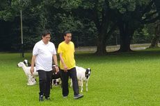 Jokowi Joging dengan Airlangga, Ini Tanggapan Cak Imin 