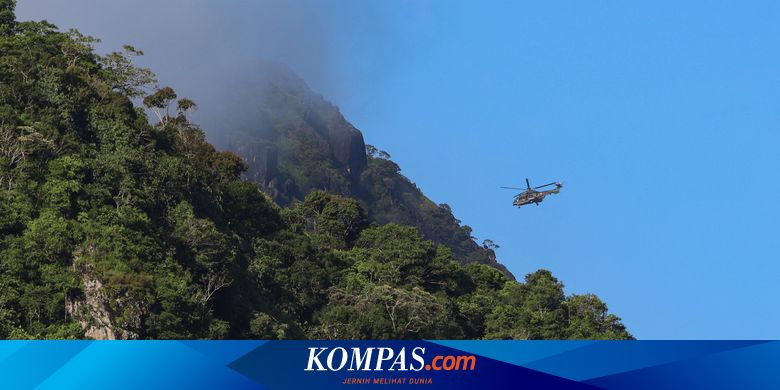 Smartwatch Steps Reveal Mystery of ATR Plane Crash - News Directory 3