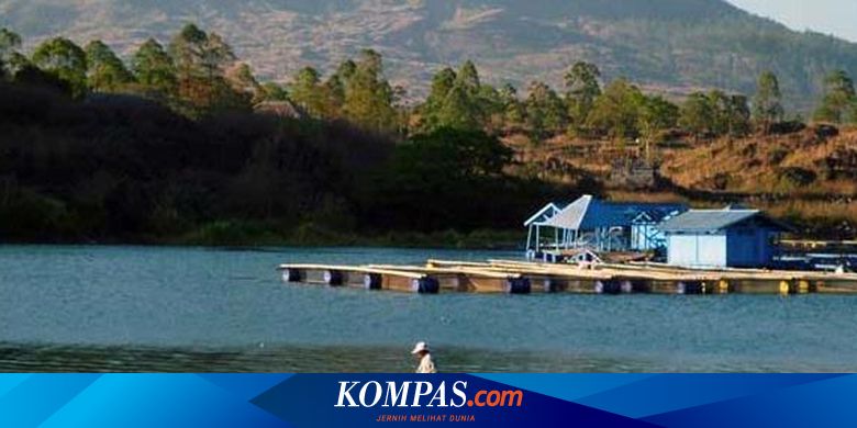 Gemulai Ikan Nila Di Danau Batur Halaman All Kompas Com