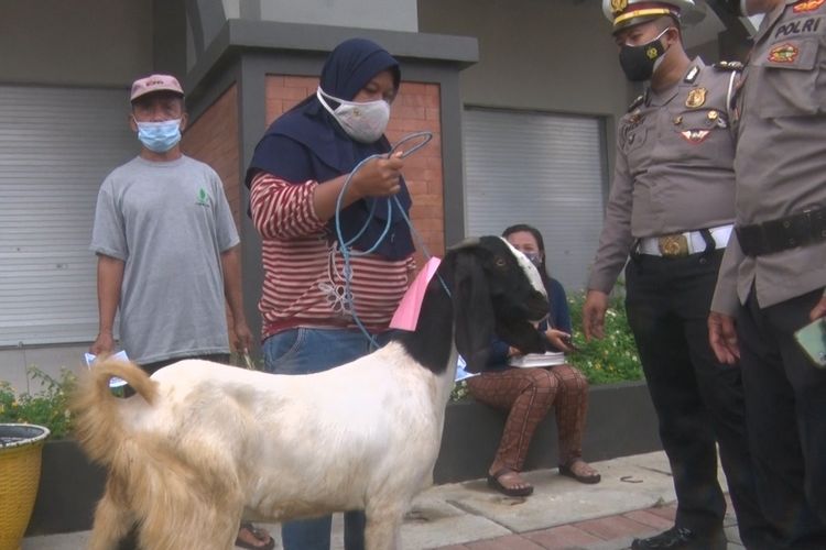 Salah satu penerima vaksin Covid-19 yang mendapat hadiah kambing usai mengikuti vaksinasi massal di Pasar Pon Trenggalek, Kamis (24/6/2021).