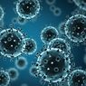 Apakah Virus Termasuk Makhluk Hidup?
