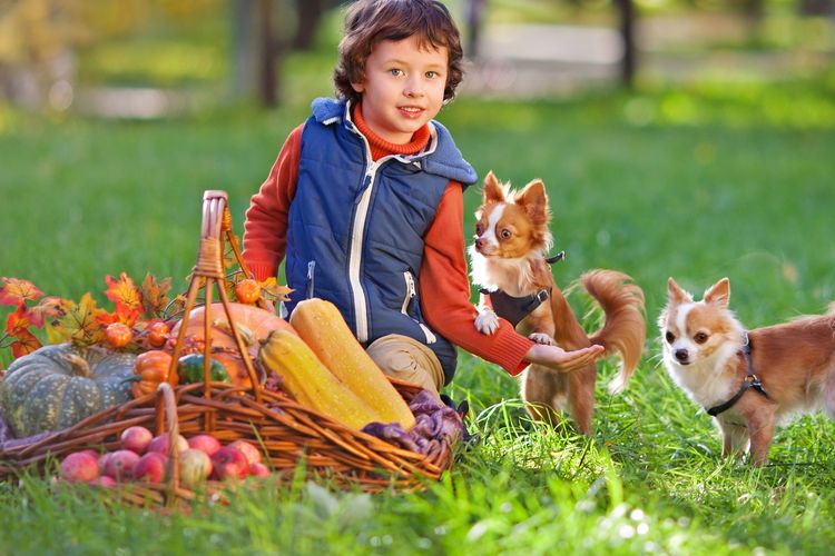 Ilustrasi anak bermain dengan anjing. 