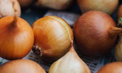 Komisi IV: Pembebasan Impor Bawang Putih dan Bombai Ancam Swasembada Hortikultura