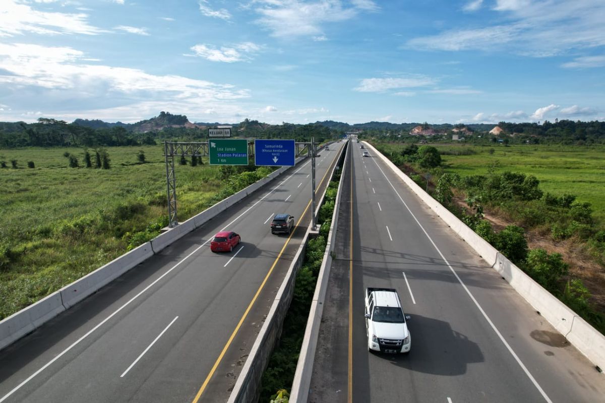 Tol Balsam.