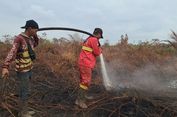 Petugas Masih Berupaya Padamkan 118 Hektar Hutan di Riau Kebakaran