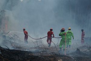 BNPB: Karhutla di 6 Provinsi Menyusut, Lahan Terbakar Tersisa 96 Hektar