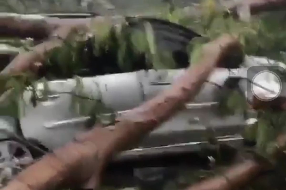 Tangkapan layar akun instagram @info.jakartabarat pohon tumbang menimpa sebuah mobil di kawasan Kembangan, Jakarta Barat, Rabu (14/4/2021).