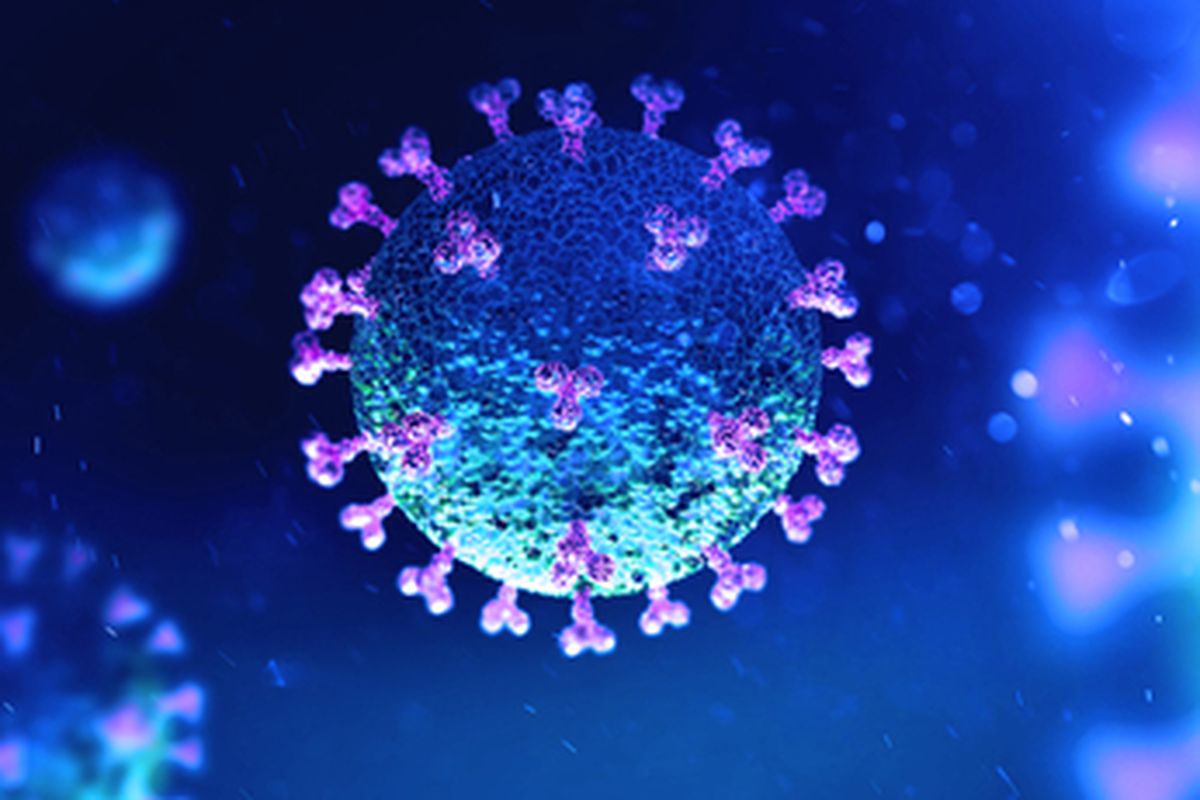 A file photo of the Covid-19 virus.