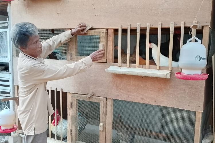 Peternak Ayam di Brebes: Kalau Listrik Mati Mendadak, Kami Khawatir Telur Gagal Menetas